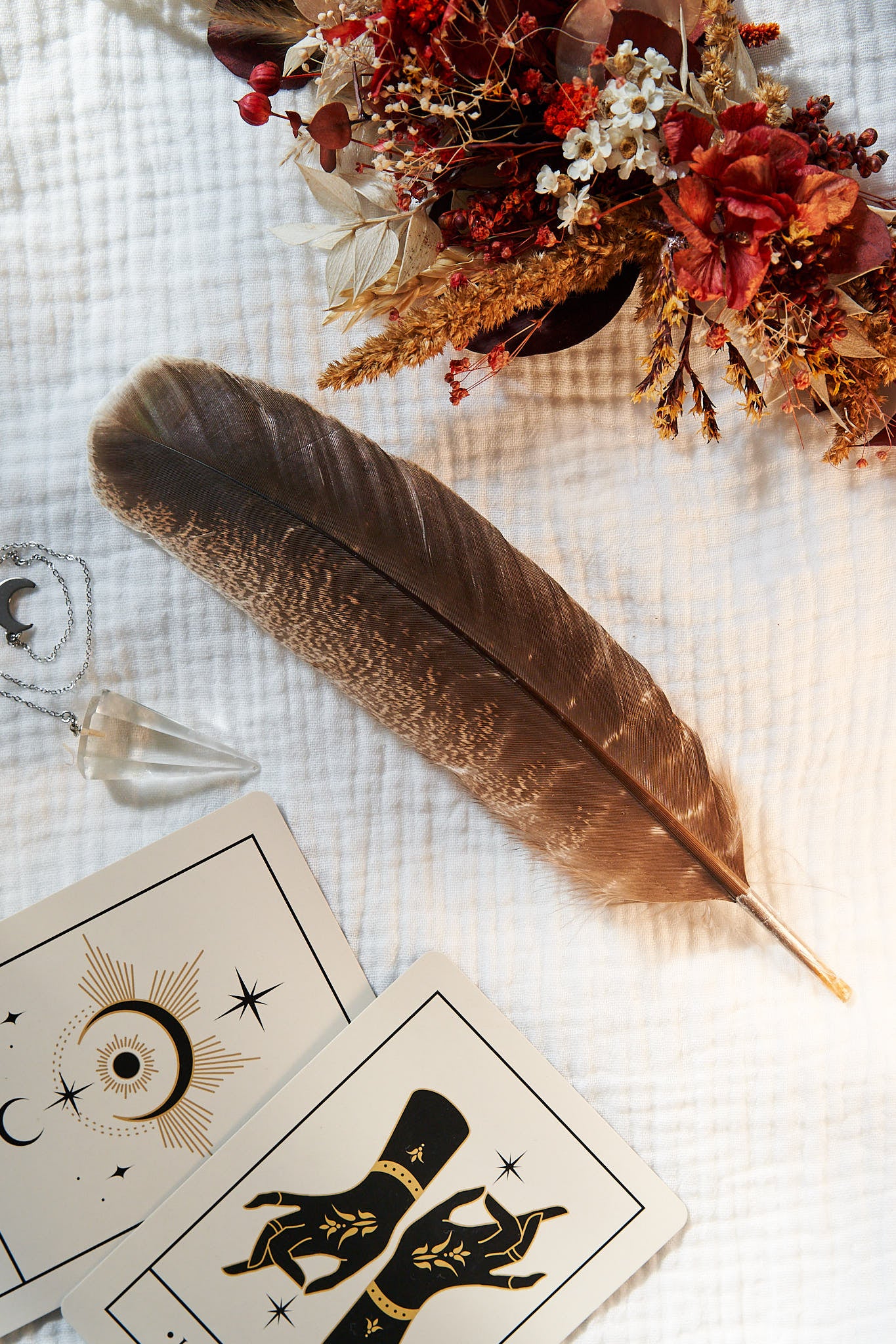 Plume pour le maculage