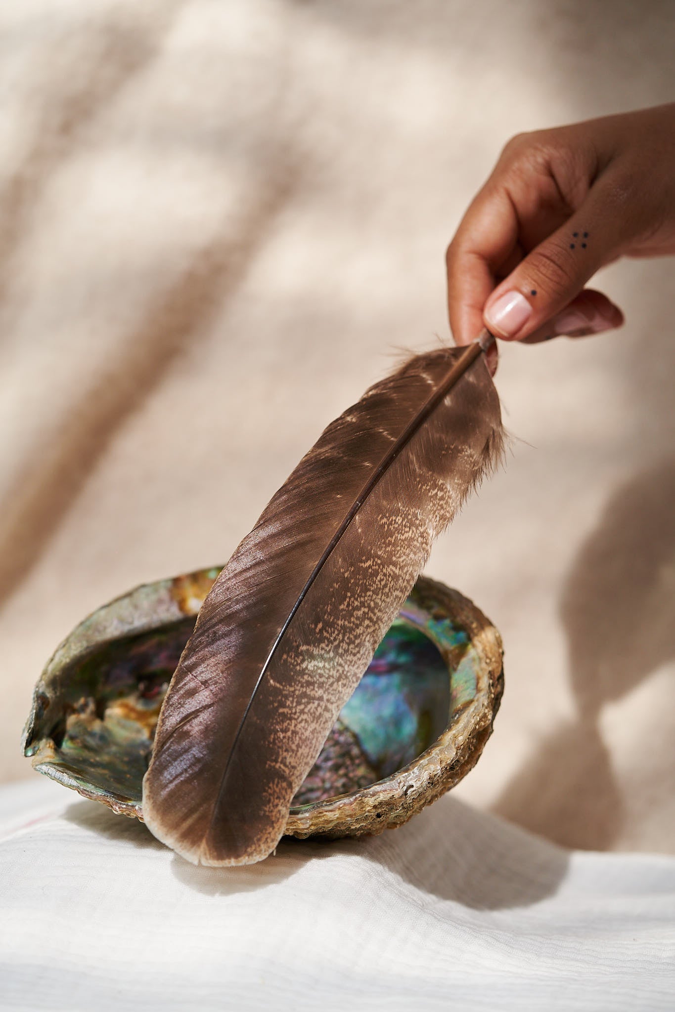 Plume pour le maculage